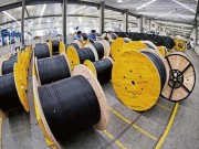 Eýukolanyň we Fiber optik kabeliň uýalary