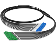 Ýygnakdan soňunçylan fiber - Patyşalygyň täze saýla